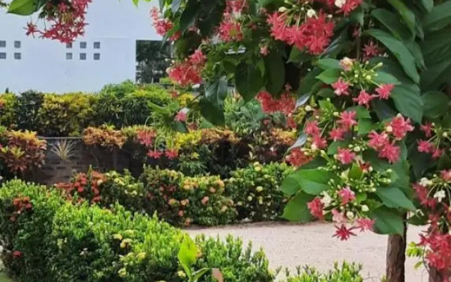 Srilal's Guest House