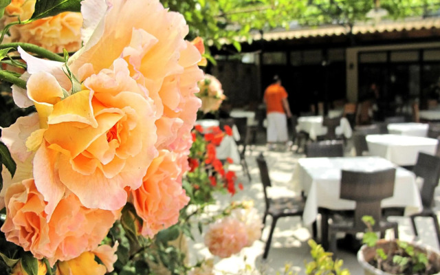 Hotel Lesse
