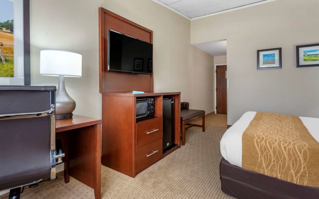 Comfort Inn Lancaster County North