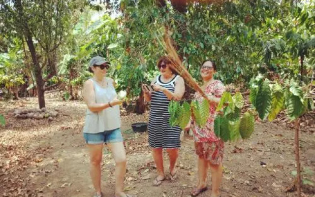 Shibui Garden Bungalows and Restaurant