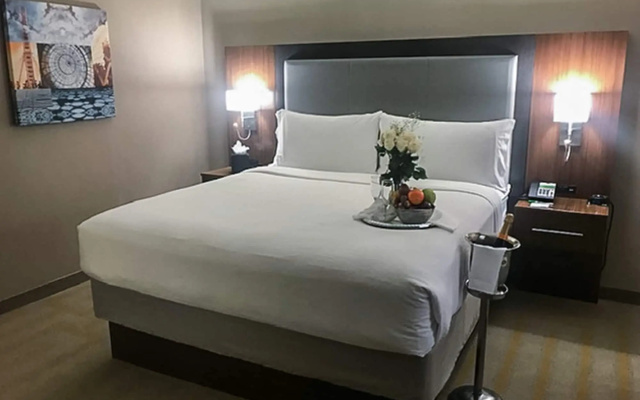 Holiday Inn Chicago SW-Countryside ConfCtr by IHG
