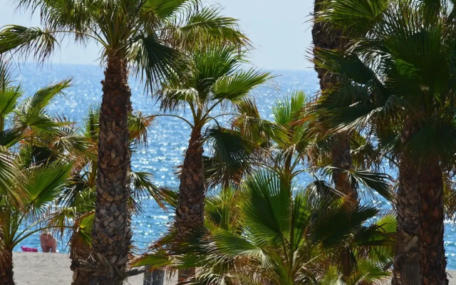 Apartamentos Natura World