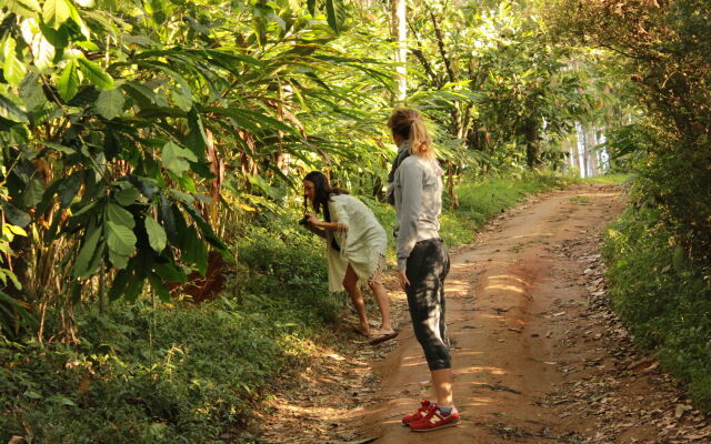 Season7 The Nature Resort - Munnar