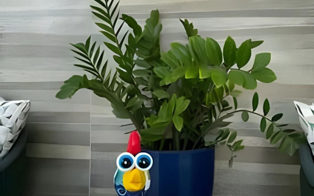 Atlantis 312 Porto de Galinhas