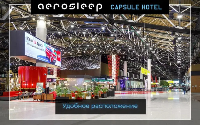 Aerosleep Sheremetyevo Terminal V