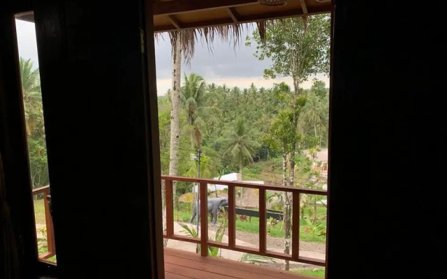 Kampung Coklat Jembrana