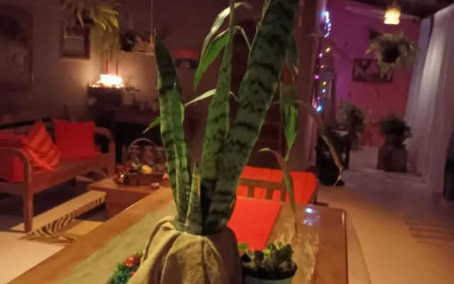 Bed And Breakfast Le Boutique Paula