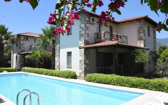 Olivia Houses 2 Worth to Look At