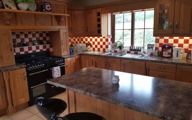 Tina's Lough Allen