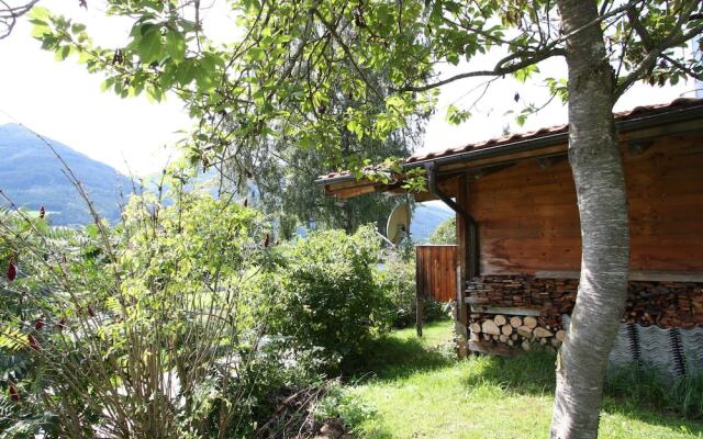 Tranquil Chalet in Niedernsill Salzburg With Garden