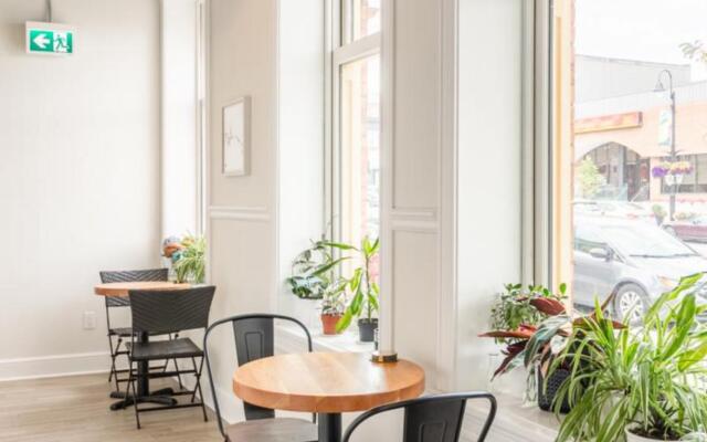 Rideau King 1Br Apartment Free Parking