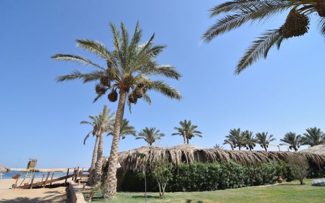 Sharm El Naga Resort and Diving Center