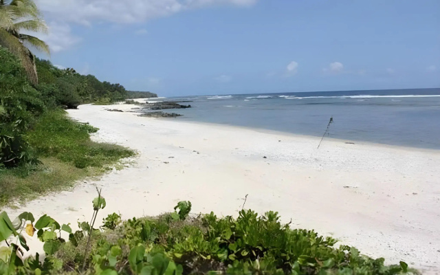 Alofa Beach Bungalows