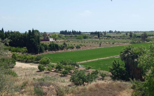 L'Hortet del iaio