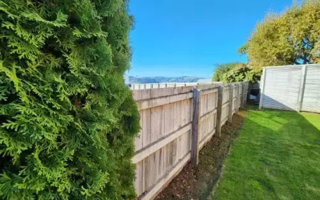 Roslyn Sanctuary Hereford St Dunedin