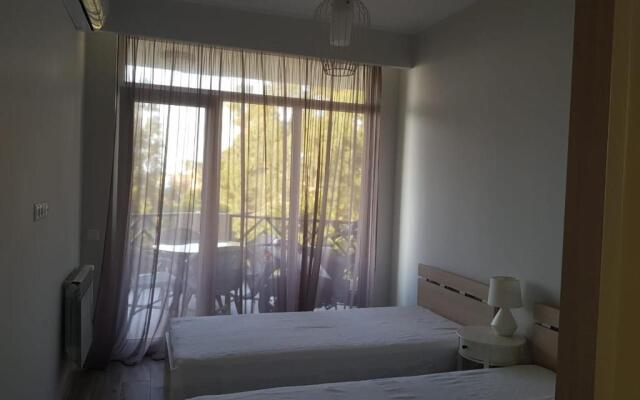 Andria Pirveltcodebuli 58.Gonio. Georgia