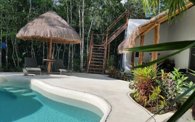 Pura Vida Cancun