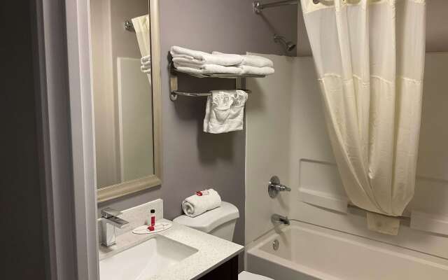 Microtel Inn & Suites by Wyndham Clarksville