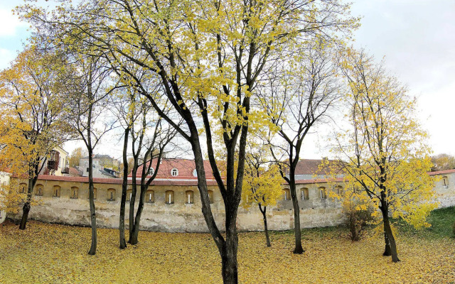 Domus Maria