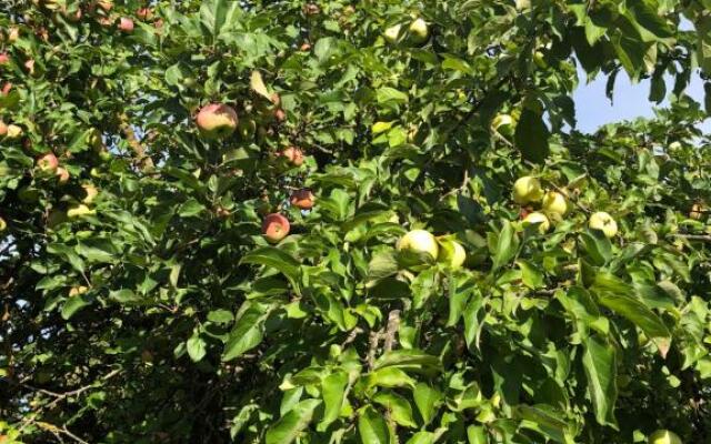 Skrunda Apartments Centrum