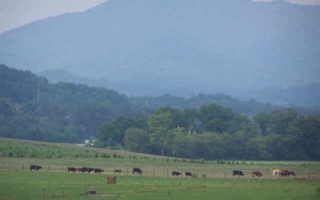 Gray Wolf Mountain Inn