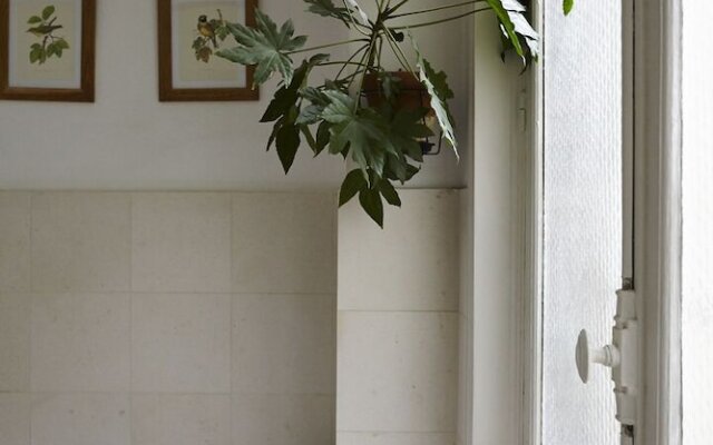 Botanical Eclecticism in the 20th