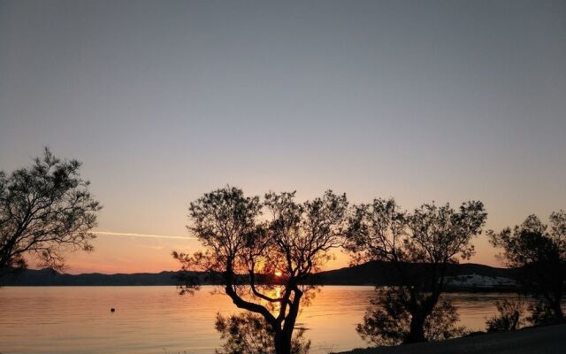 Moustakas Beach Hotel