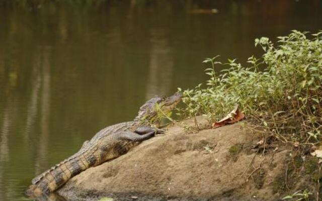 Hotel Sueño Real Rio Celeste