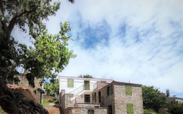 The Hill Village House