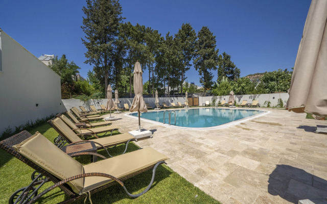 Olive Tree Gündoğan