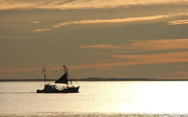 Ribe Comfortable Holiday Residence