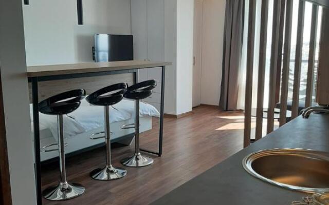 Ariš Kopaonik apartman A21
