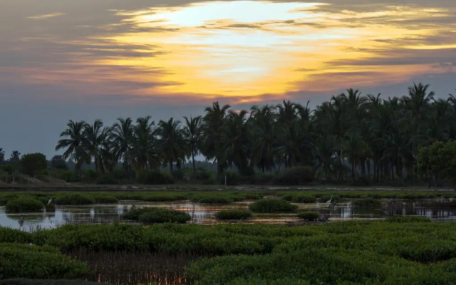 Five Trees Beach Resort Hotel