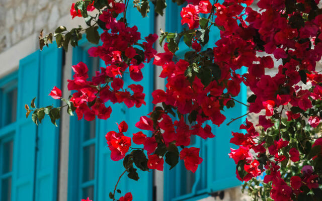 Casa Alegre Alaçatı