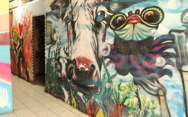 The Overstay Art Hostel