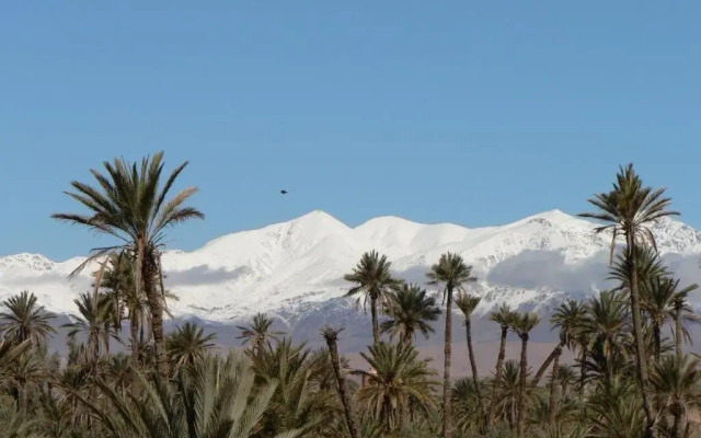 Gîte Kasbah La palmeraie