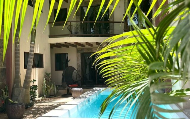 Macondo Raíz Holbox