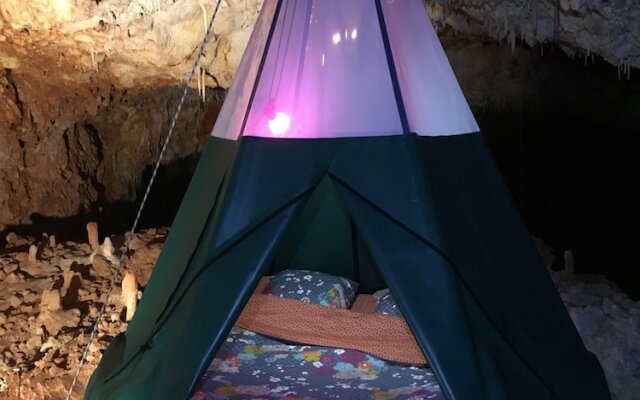 Aven Grotte Forestière