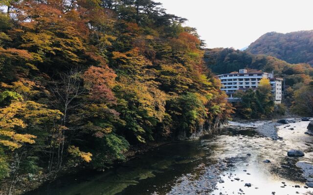 Nikko Garden Hotel