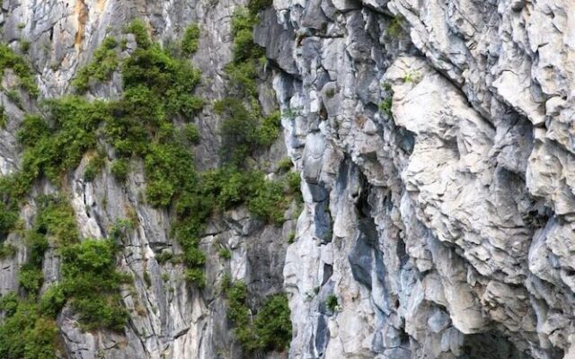 Halong Moonlight Cruises