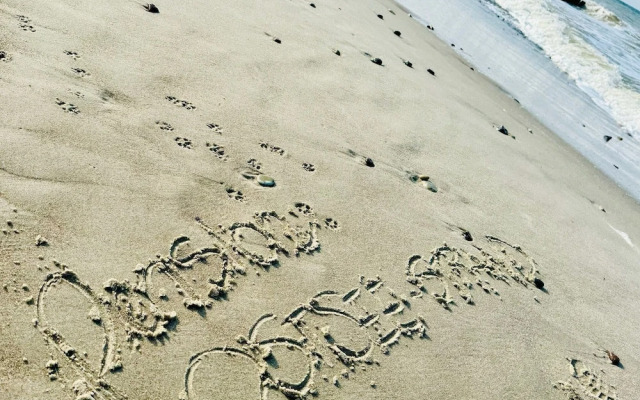 Hotelpension Windflüchter