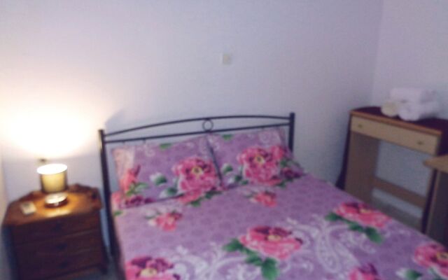 Elena's House