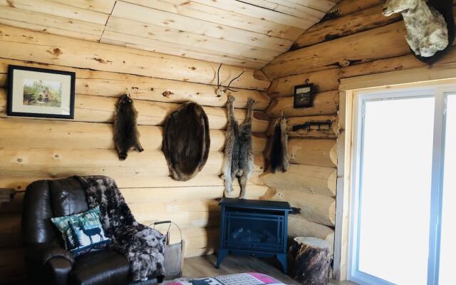 Wrangell Mountain Lodge