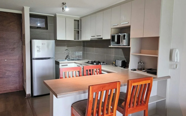 Oceana Suites Costa Pucón