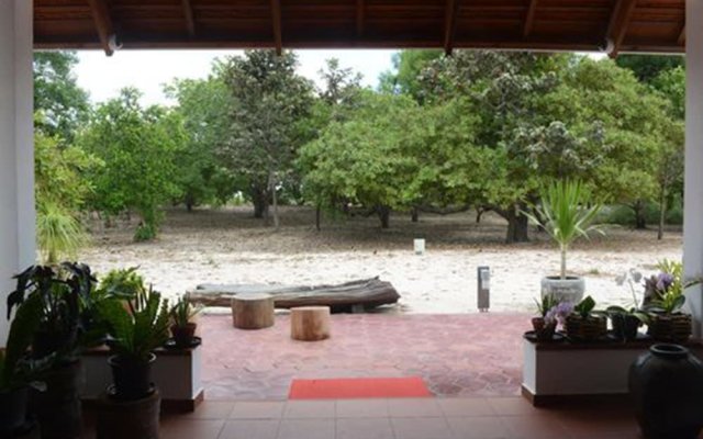 Dracaena Resort