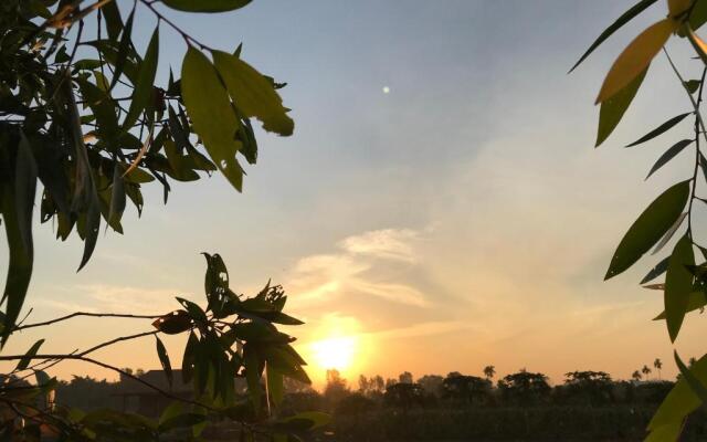 Saigon Garden Homestay