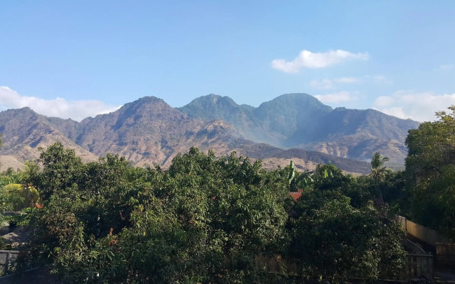 Mango Tree Inn