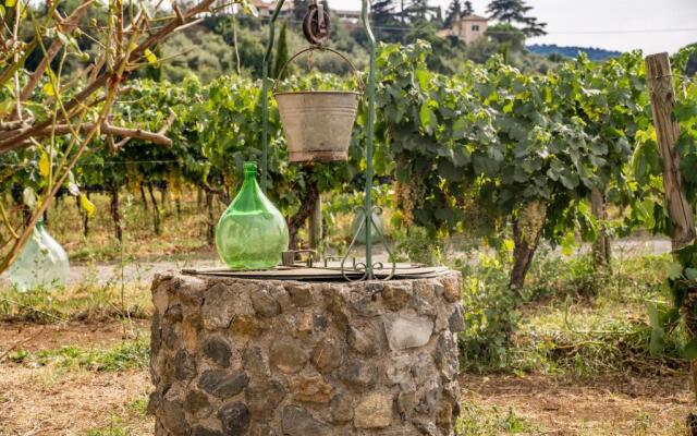 Un' Ottima Annata - La casa nel vigneto