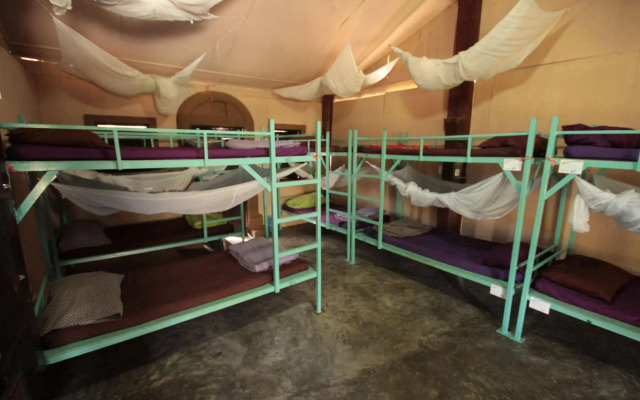 Purple Monkey Backpackers
