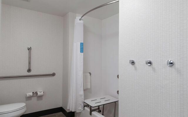 Hampton Inn Black Mountain